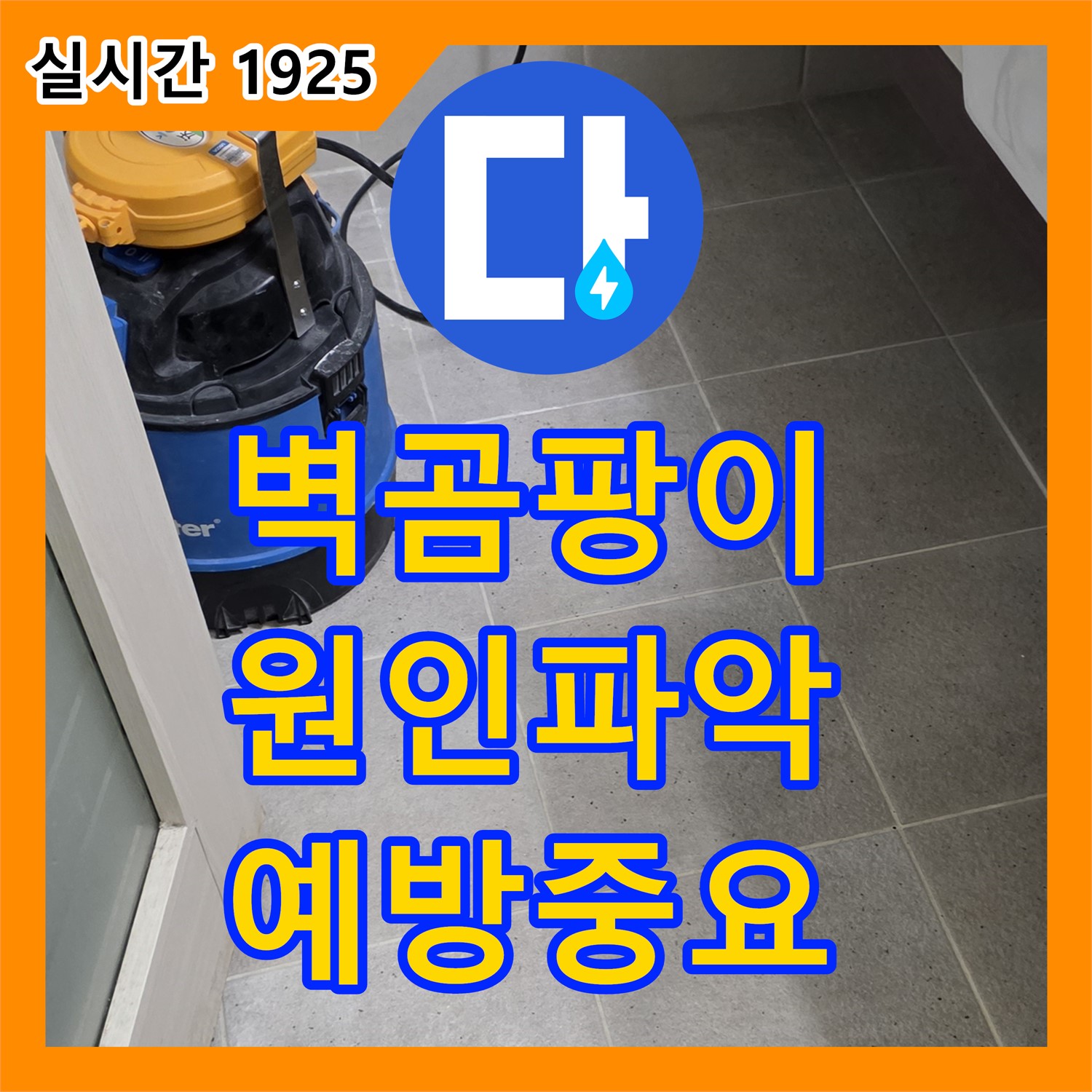 분당 누수탐지전문가, 산운로 주택 벽 곰팡이, 누수 원인 파악 및 예방 중요
