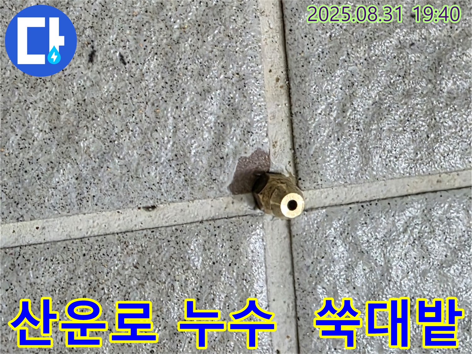 분당 산운로 누수 - 작은 황동 부속의 미세한 균열이 누수의 씨앗이었습니다.