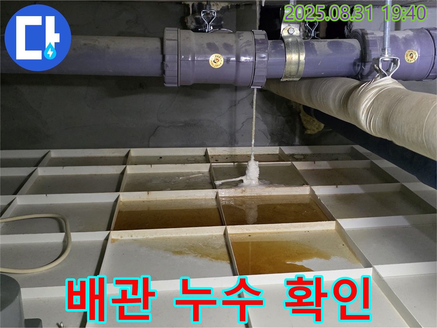 분당 산운로 누수 현장 - 배관에서 누수 발생 확인