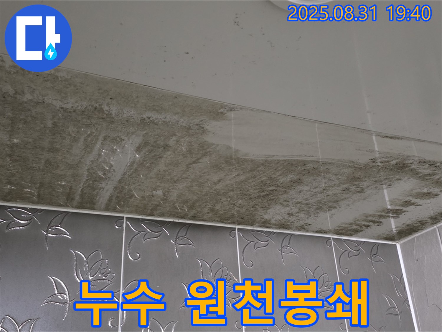분당 운중동 - 누수 원천봉쇄 - 곰팡이 완벽 제거