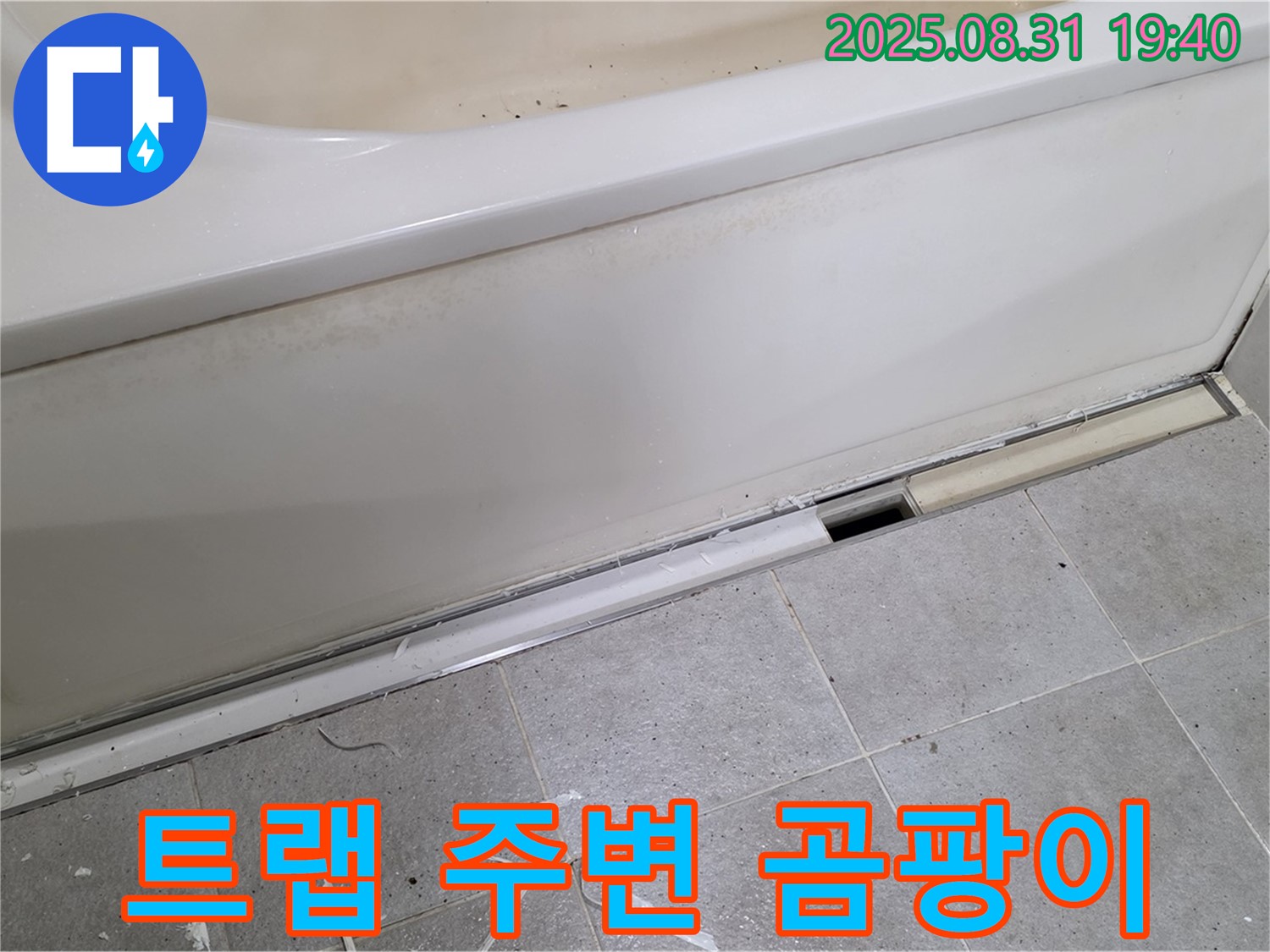분당 정자동 욕조 누수 - 배수 트랩 주변 물때와 곰팡이