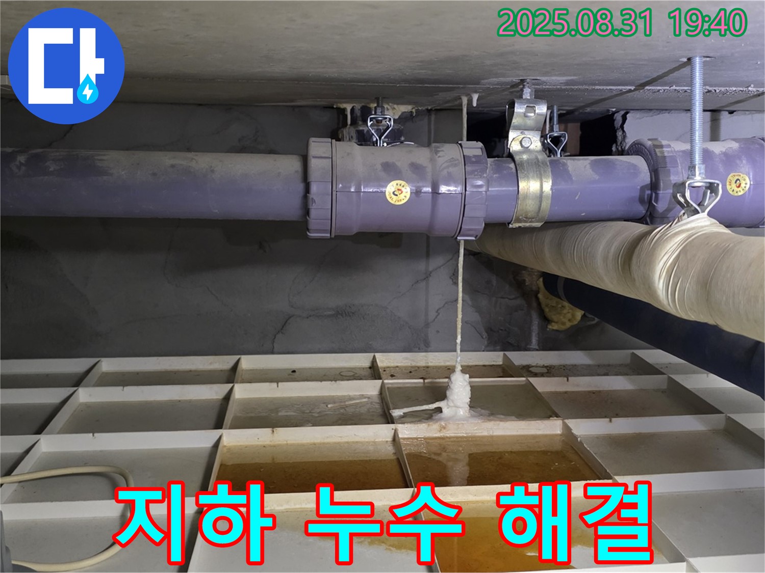 분당구 산운동 121 누수 - 건물 지하 누수, 꼼꼼 점검으로 완벽 해결!