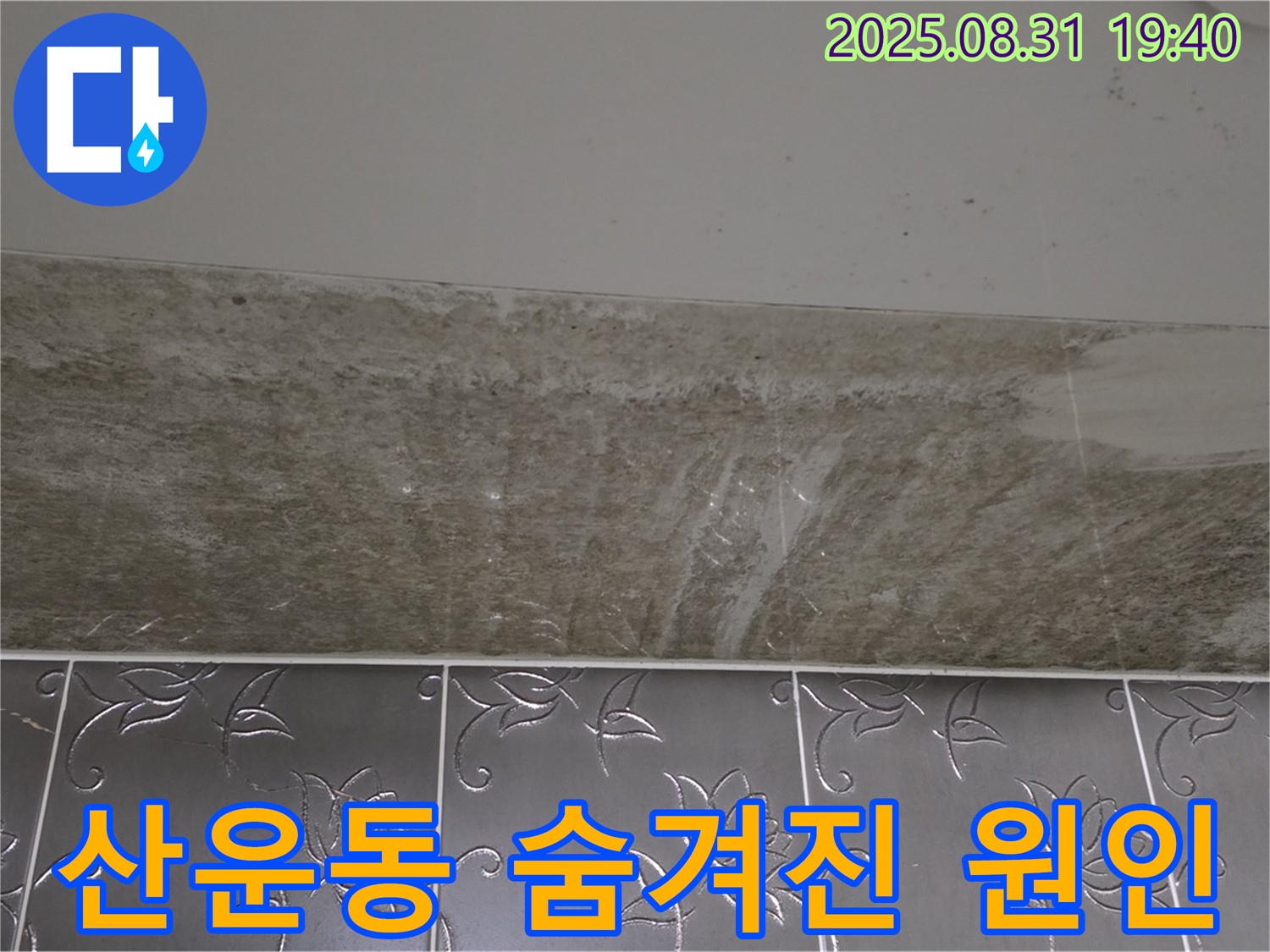 분당구 산운동 욕실 곰팡이 - 숨겨진 원인까지 꼼꼼하게 해결!