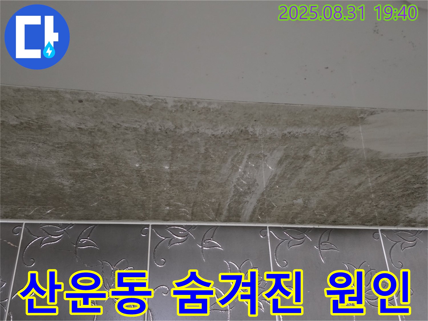 분당구 산운동 욕실 곰팡이 - 숨겨진 원인까지 꼼꼼하게 해결!