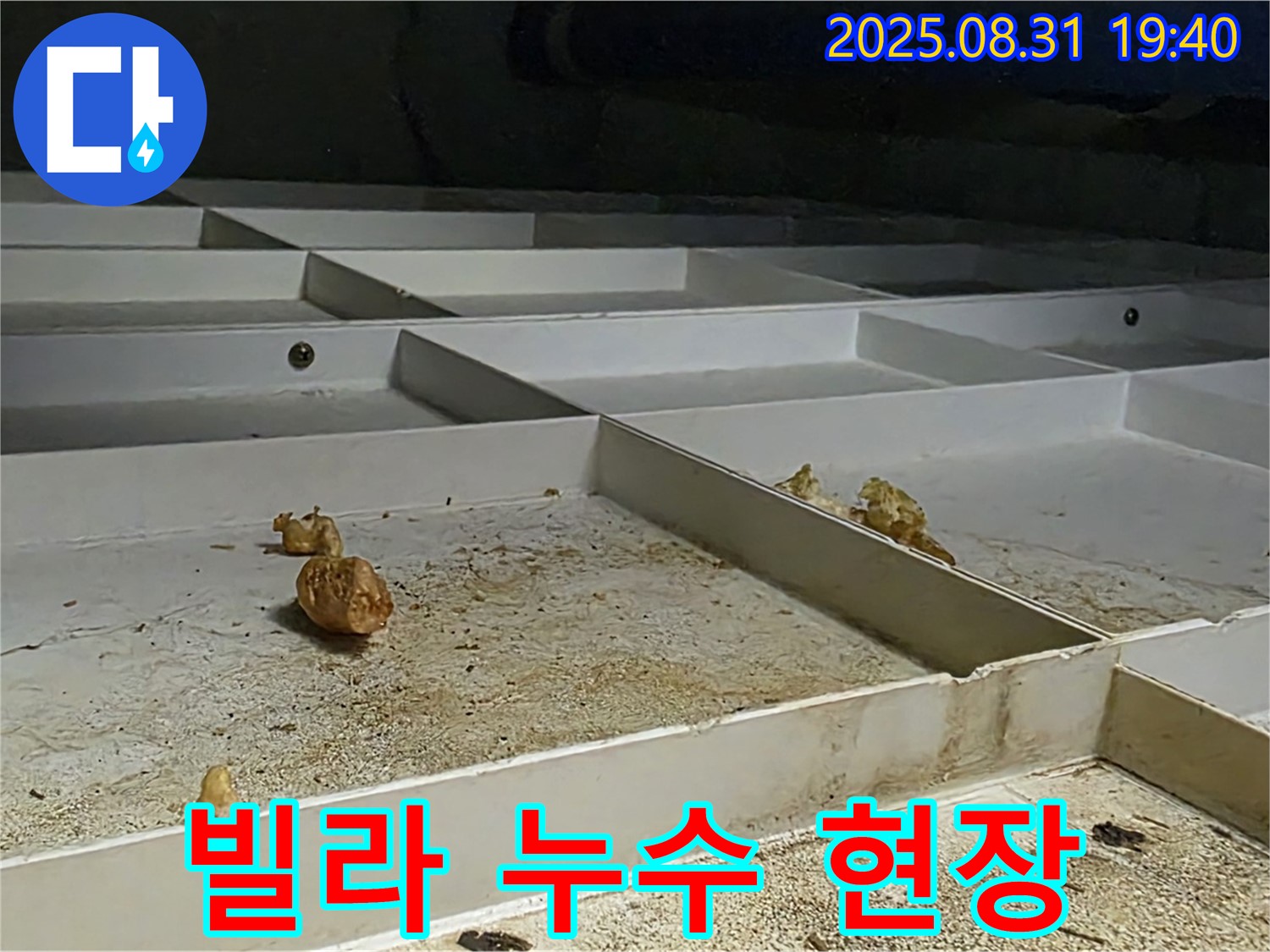 분당구 산운로 빌라 누수 현장 - 누수 발생 지점 및 피해 상황