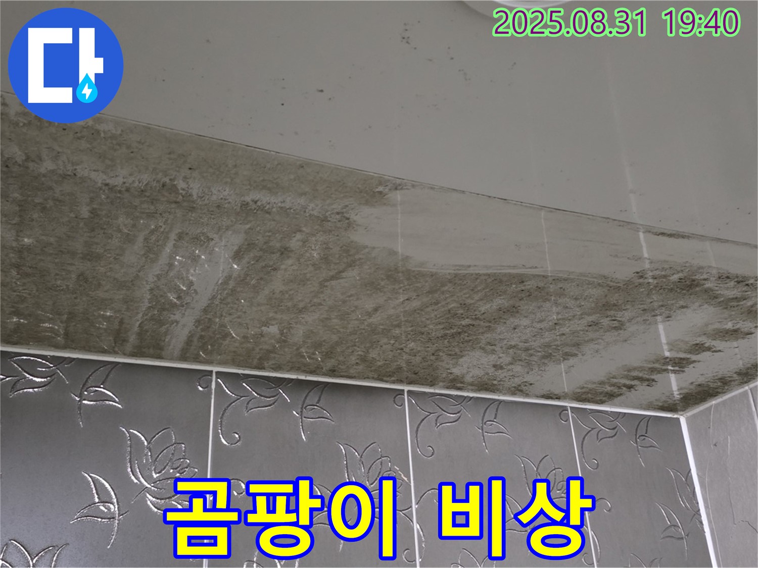 산운동 욕실 천장 - 곰팡이 뒤덮인 긴급 상황