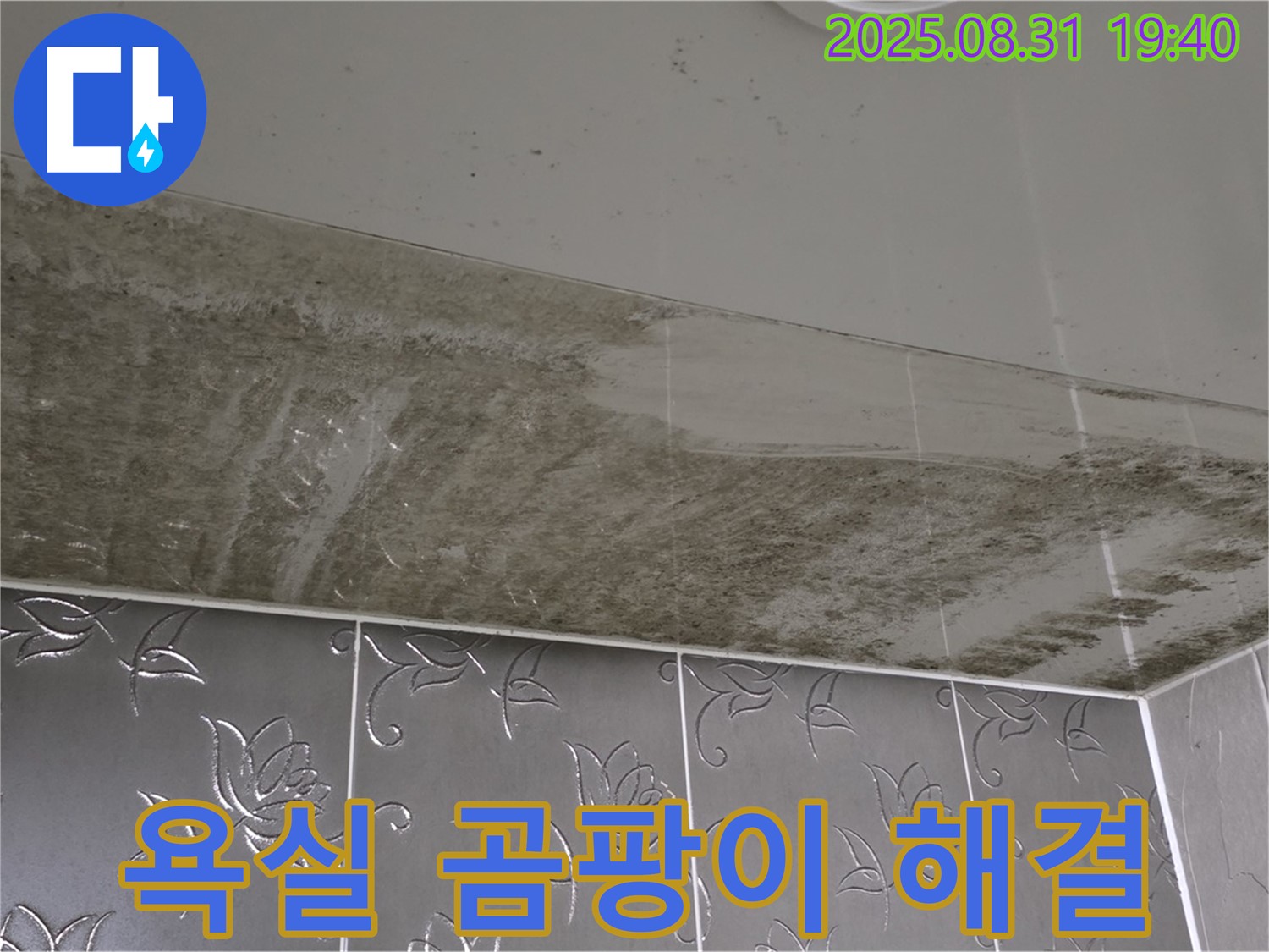 석운동 욕실 천장 곰팡이 - 누수 문제를 해결하고 깨끗해진 욕실 천장의 모습입니다.