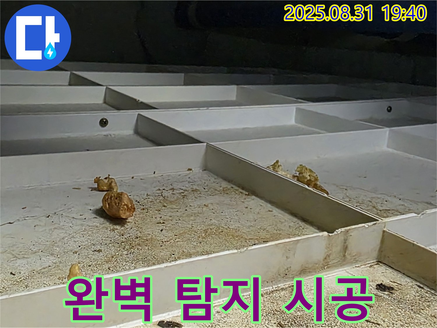 성남 분당 산운로 누수 - 완벽한 탐지와 책임 시공 과정