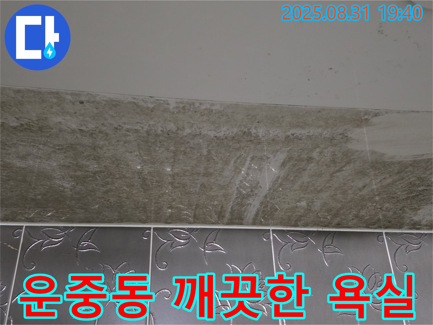 운중동 욕실 곰팡이 - 원인부터 확실하게! 깨끗한 욕실로!