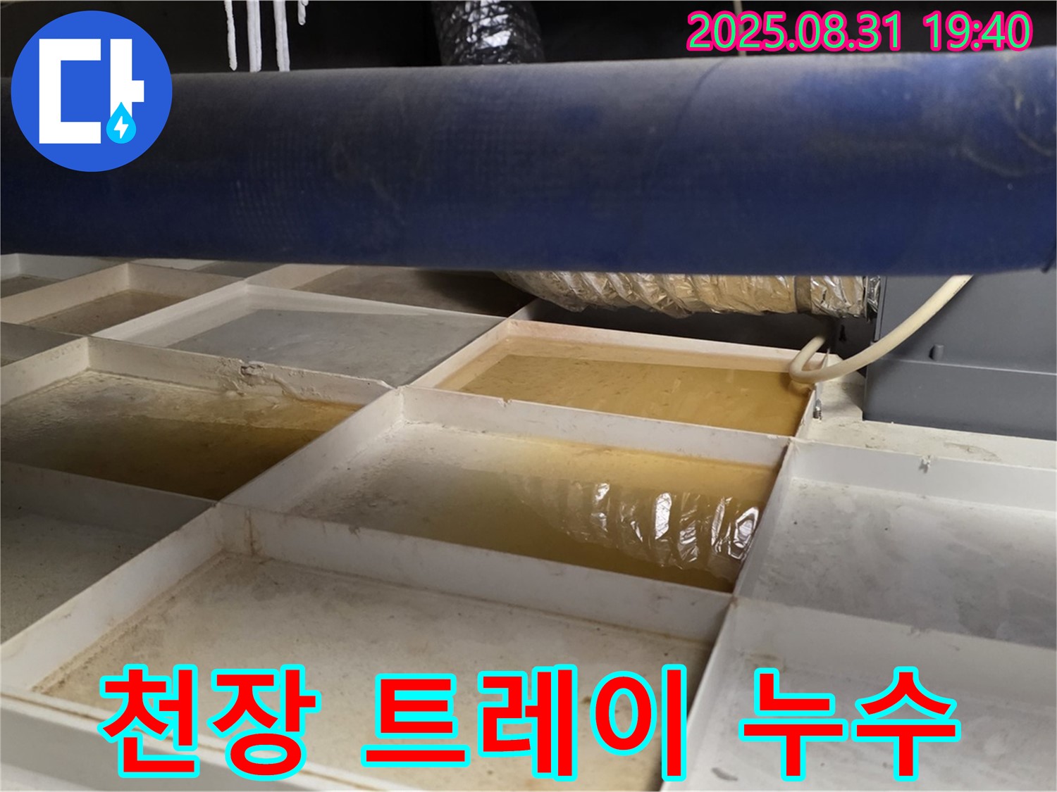 천장 트레이 누수 - 천장 트레이에 고인 물을 통해 누수 발생 위치를 확인하고 있습니다.