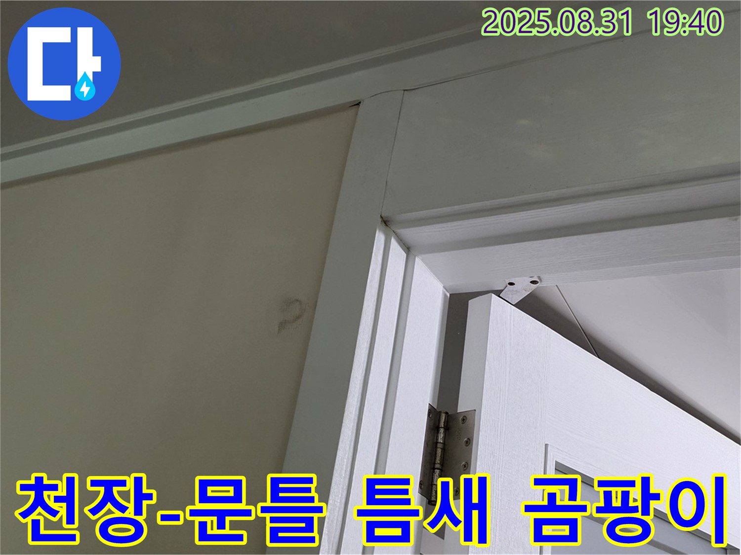 천장과 문틀 틈새 곰팡이 - 천장과 문틀 틈새에 곰팡이가 발생했습니다.