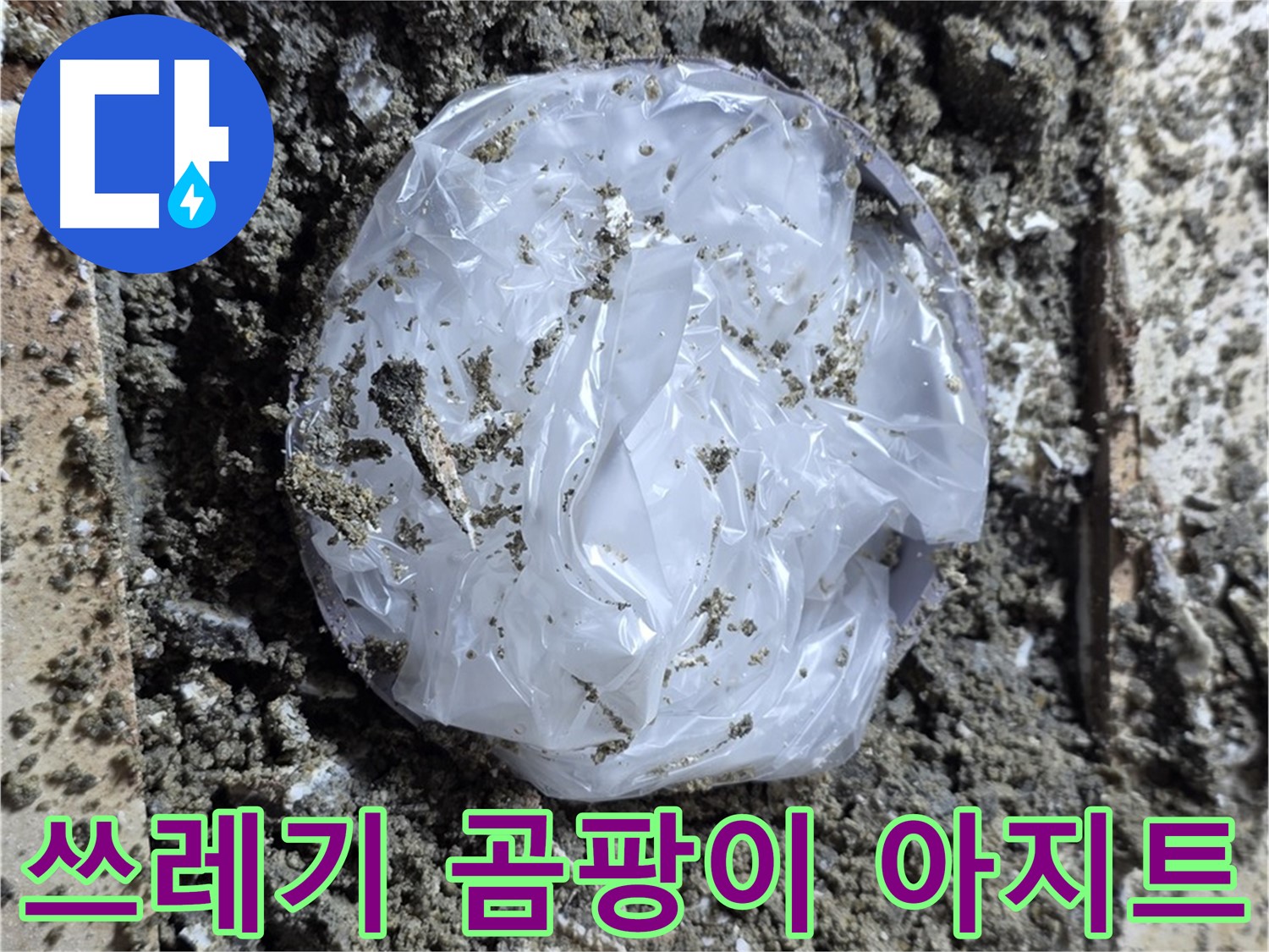 묵동 타일 밑 쓰레기 - 곰팡이 아지트!