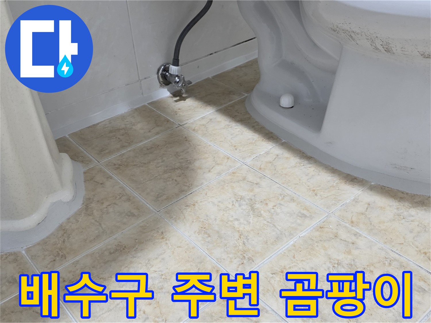 배수구 곰팡이 - 청소 소독