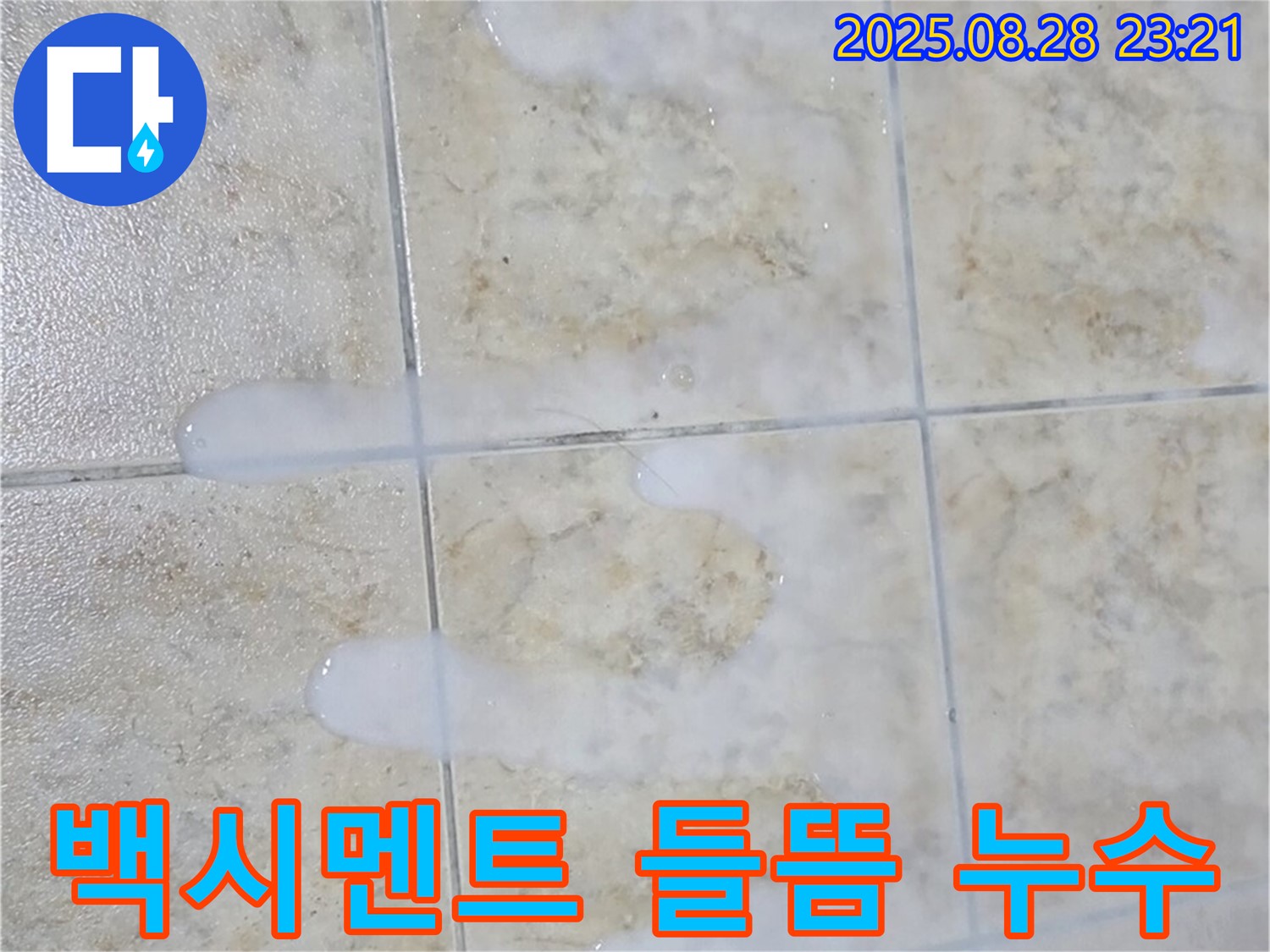 백시멘트 들뜸 누수 - 중랑구 묵동에서 발생한 백시멘트 들뜸으로 인한 누수 문제 해결 과정입니다.