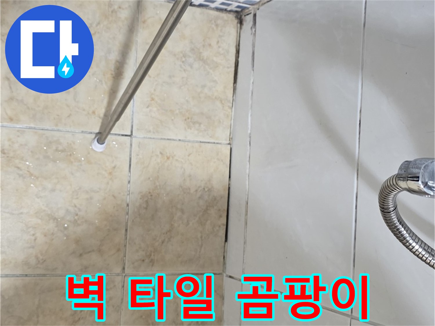 벽 타일 하단 곰팡이 - 곰팡이 냄새 - 누수 의심