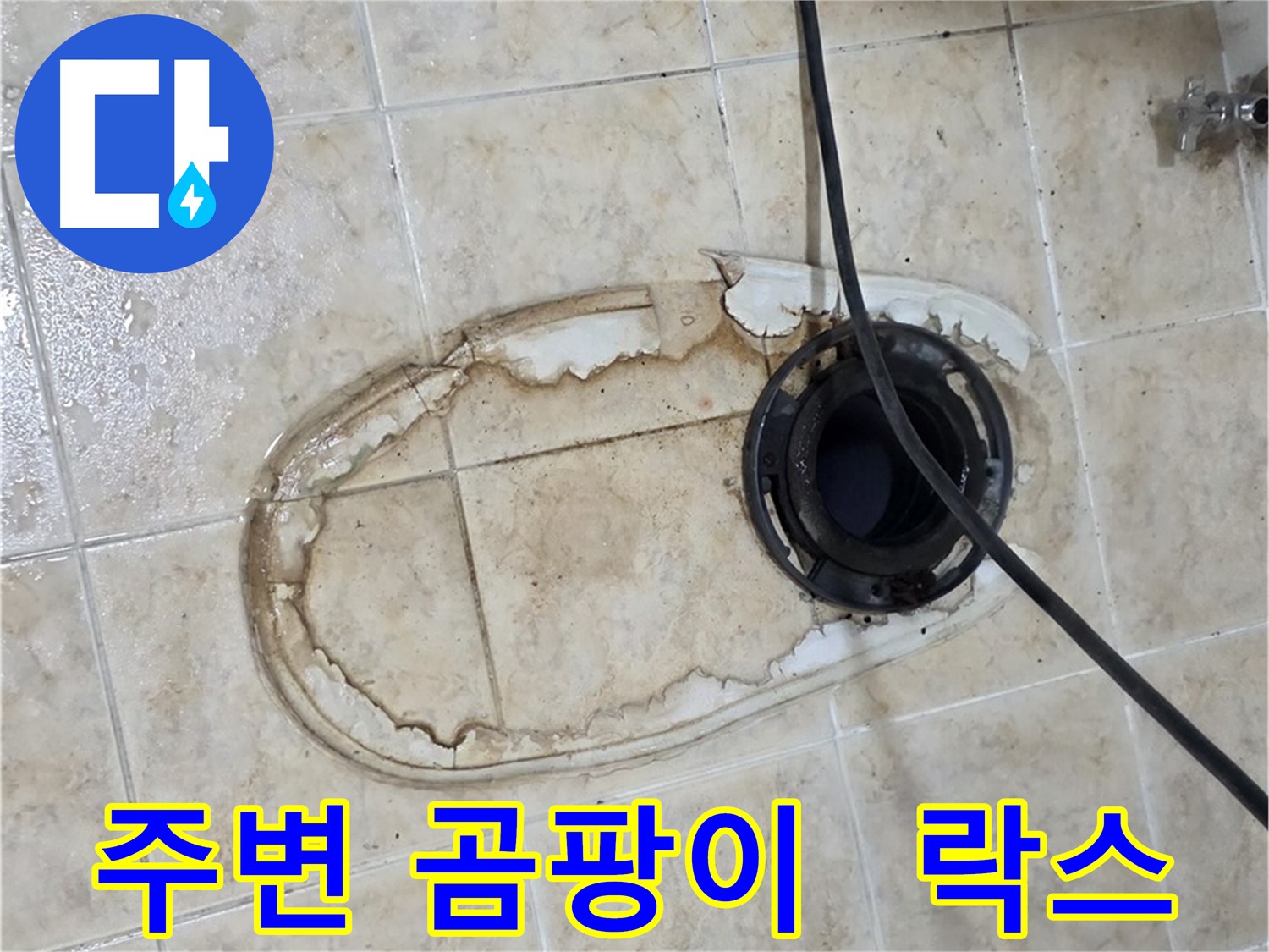 변기 누수 - 변기 주변 곰팡이, 락스 청소 효과 있을까요?