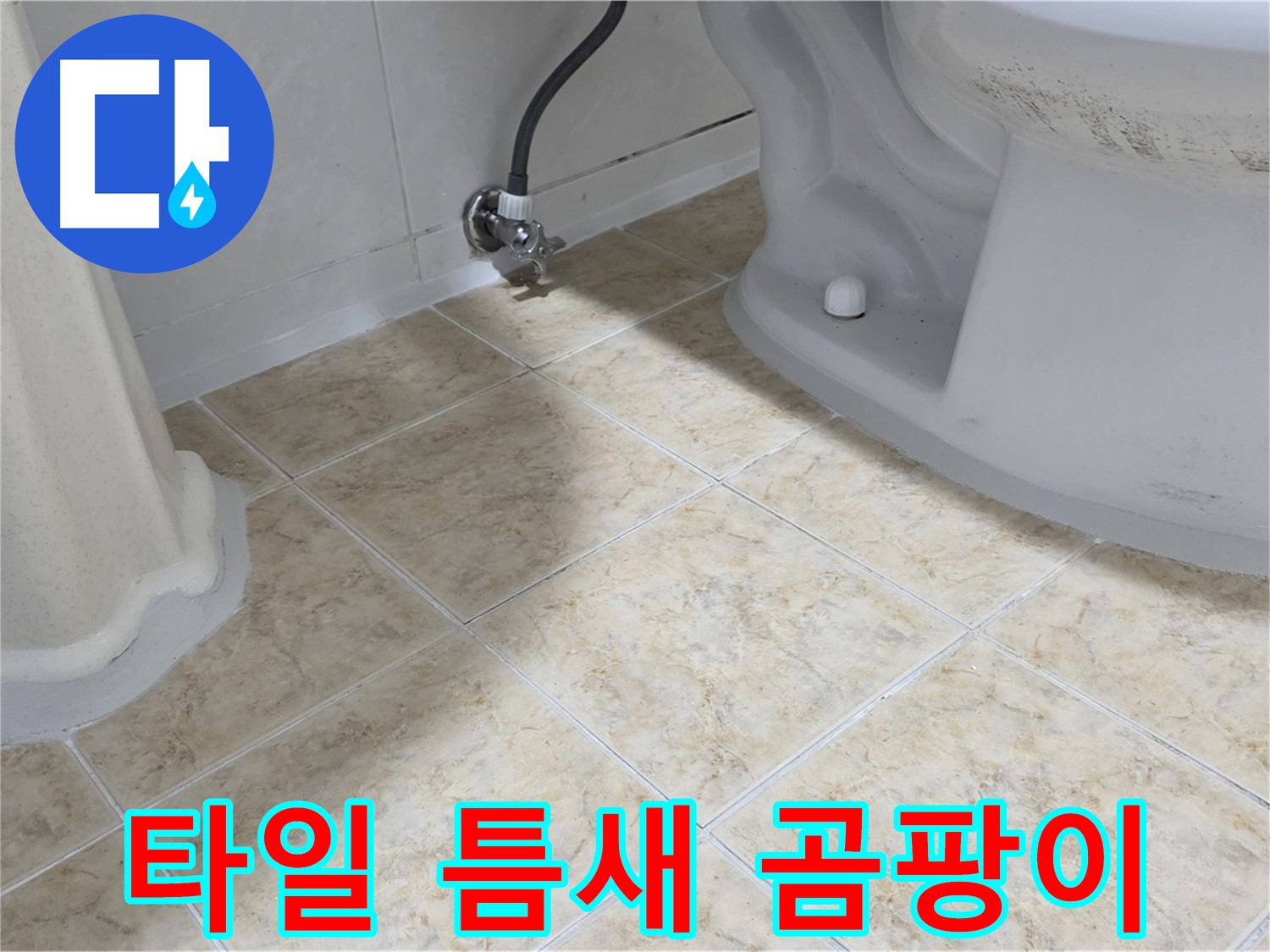 변기 옆 타일 틈새 곰팡이 - 습기로 인한 곰팡이 발생