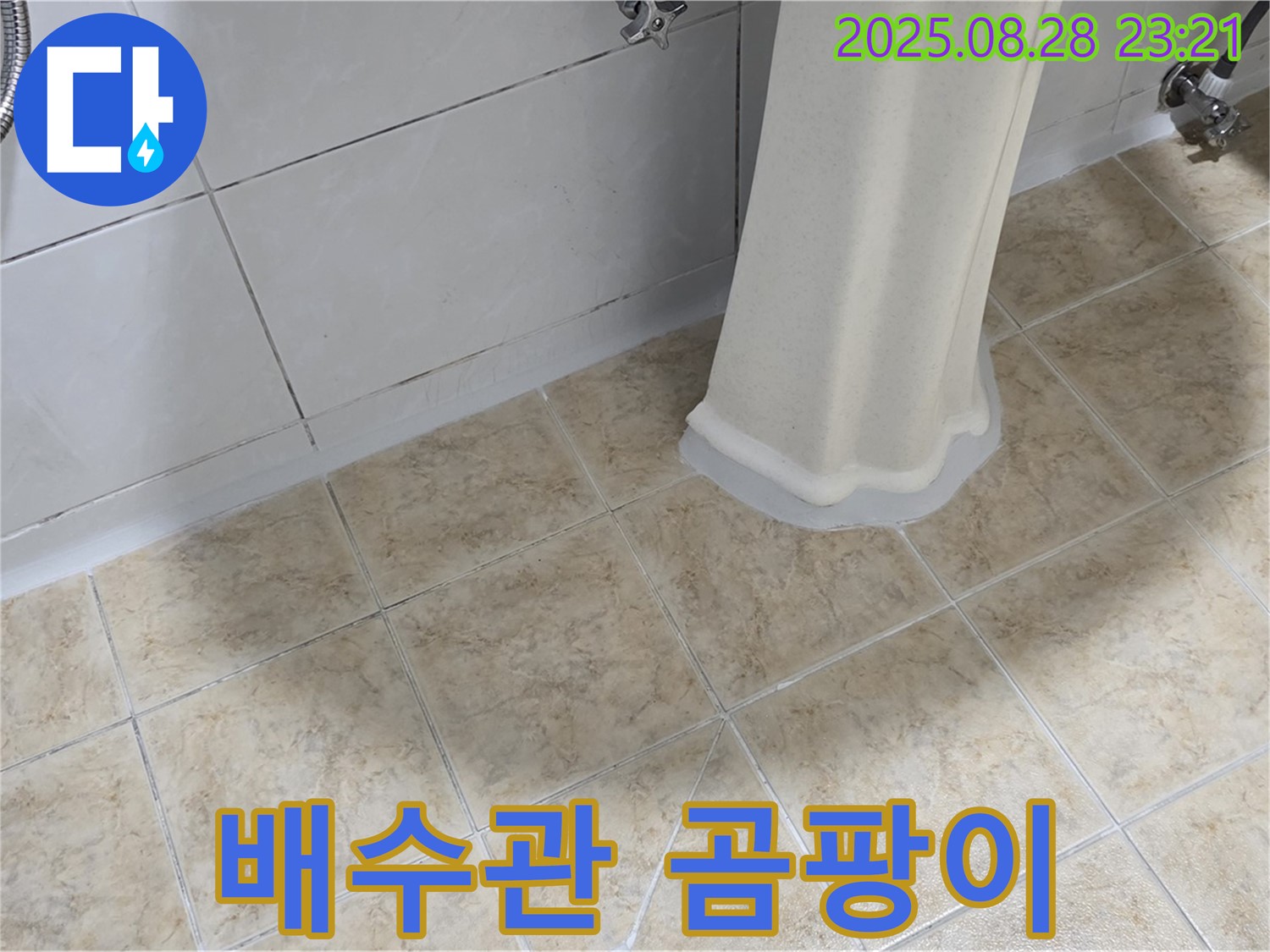 세면대 배수관 주변 곰팡이 - 누수 및 악취 원인 제거