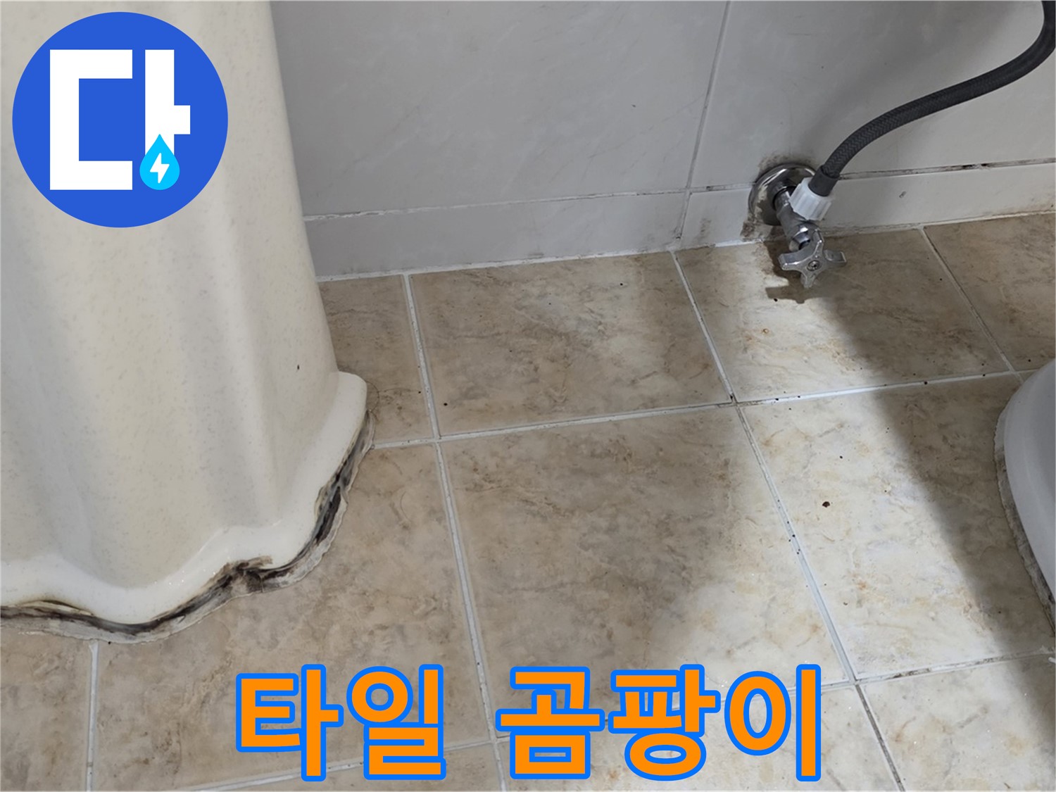 세면대 벽 타일 곰팡이 - 검은 그림자 - 곰팡이 제거