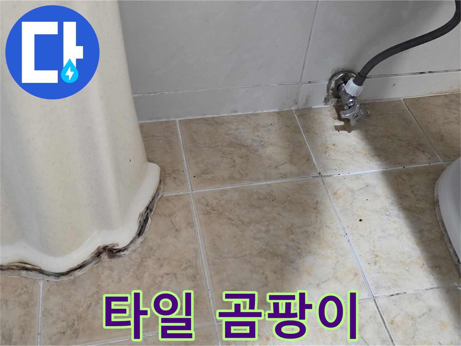 세면대 주변 타일 곰팡이 - 쾌적한 욕실 방해 - 곰팡이 제거 전문가