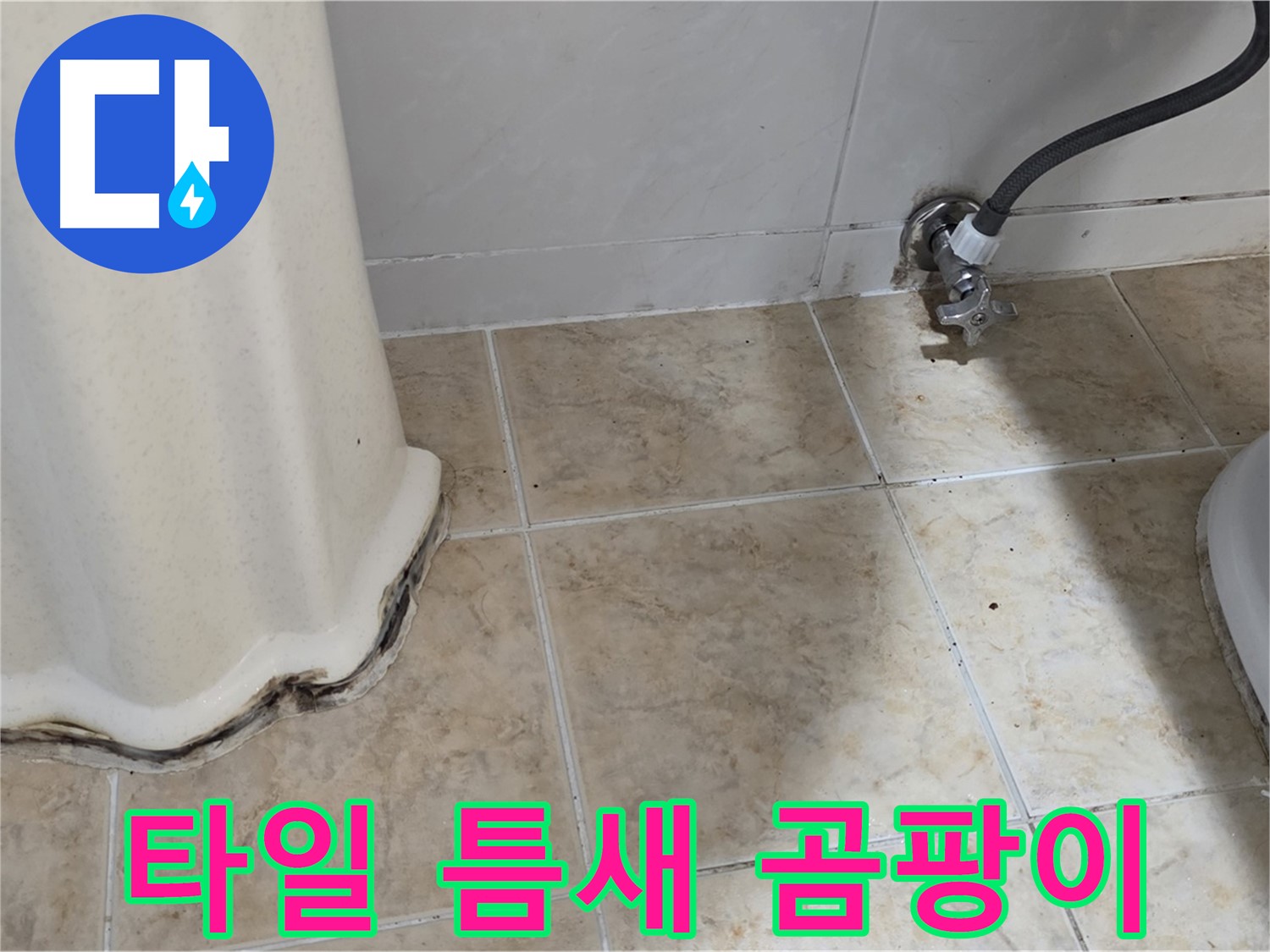 세면대 주변 타일 틈새 곰팡이 - 건강을 위협 - 곰팡이 제거 필수