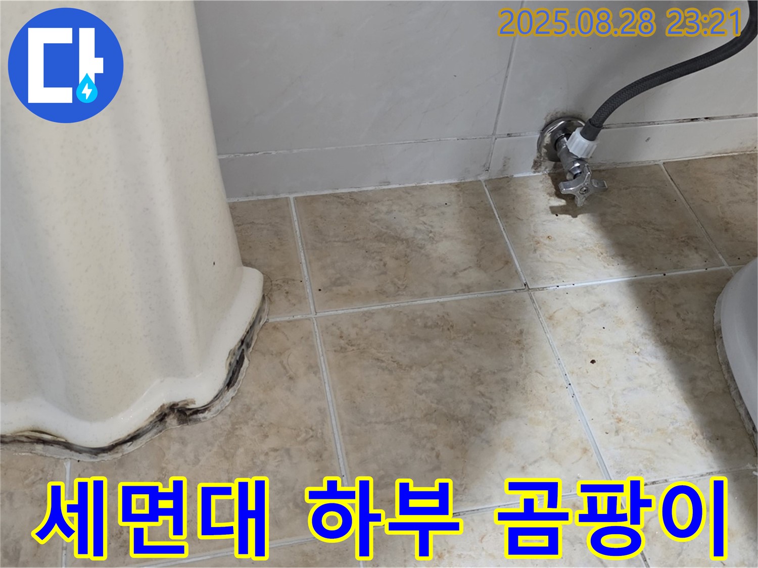 세면대 하부 곰팡이 누수 - 꼼꼼한 진단과 완벽한 시공으로 누수 원인 해결!