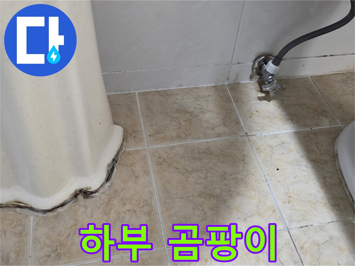 세면대 하부 곰팡이 - 습기 제거가 먼저 - 습기 제거 전문가