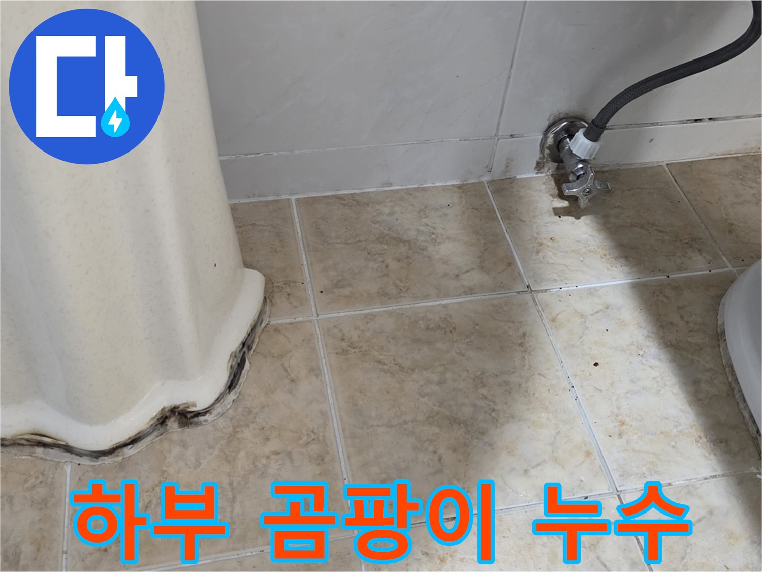 세면대 하부 곰팡이 - 우리 집 위생을 위협해요 - 곰팡이 제거 필수