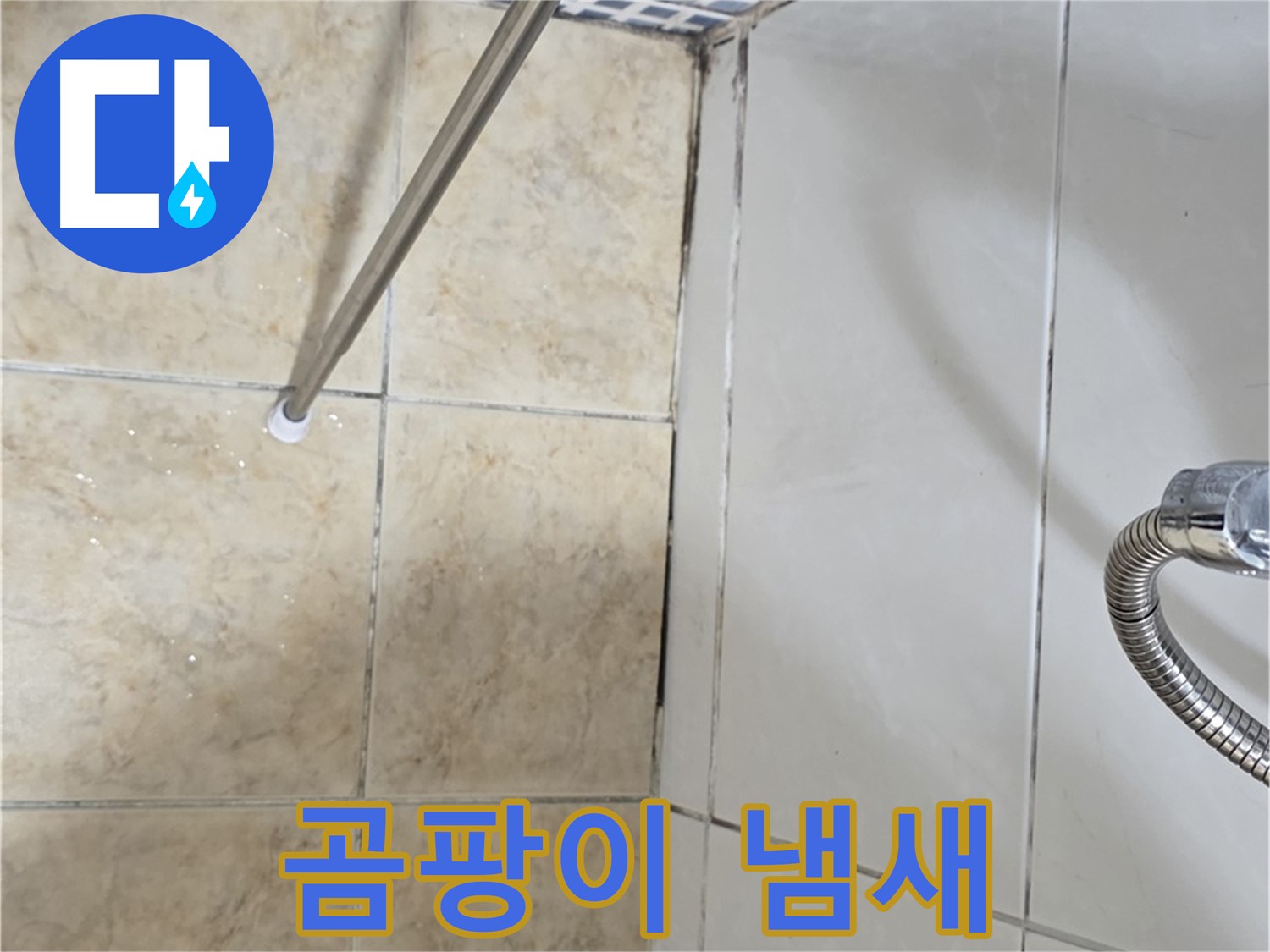 욕실 곰팡이 냄새 - 곰팡이 제거 후 - 냄새 지속 - 누수 의심