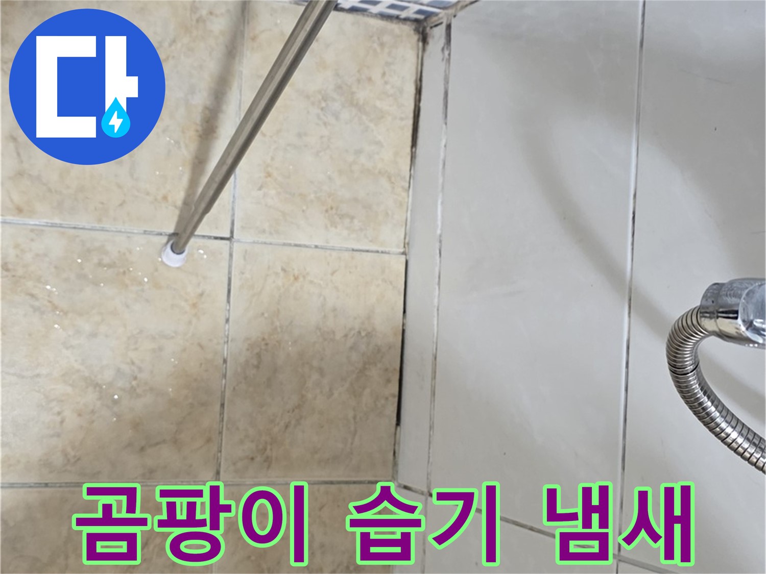 욕실 곰팡이 냄새 - 습기 - 누수 초기 - 꼼꼼 확인
