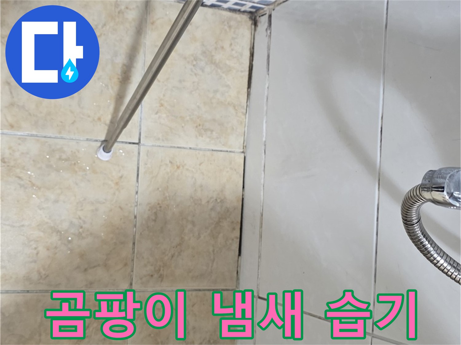 욕실 곰팡이 냄새 - 습기 - 누수 초기 - 꼼꼼한 확인