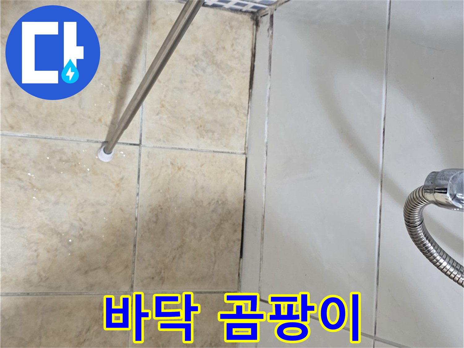 욕실 바닥 곰팡이 - 건강 위협 - 빠른 조치