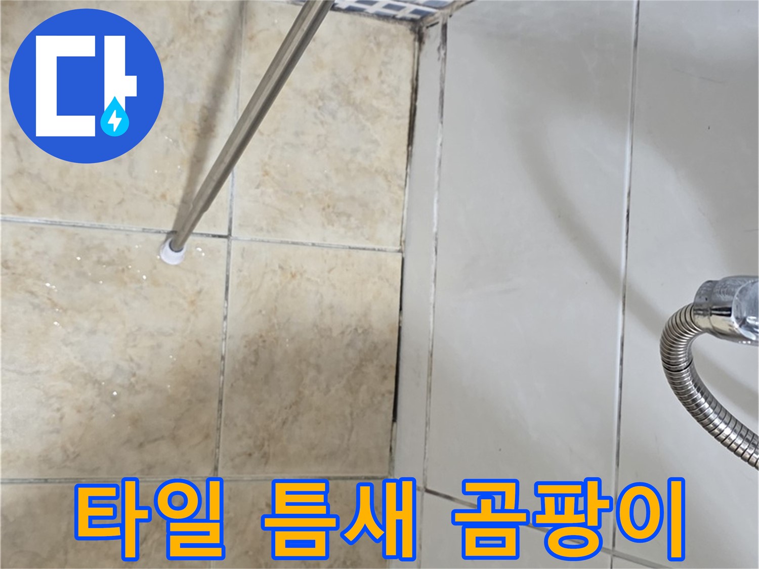 욕실 타일 틈새 검은 곰팡이 - 누수로 인한 습기 - 곰팡이 발생