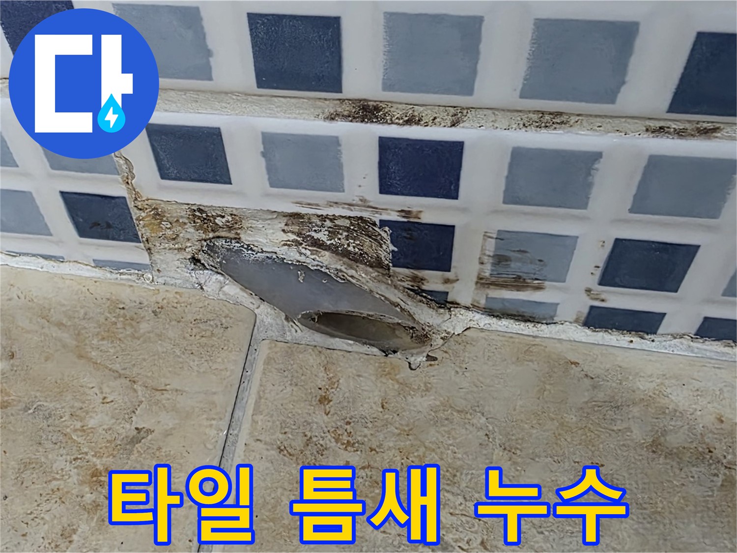 욕실 타일 틈새 누수 - 곰팡이 및 물때 발생으로 인한 누수 의심