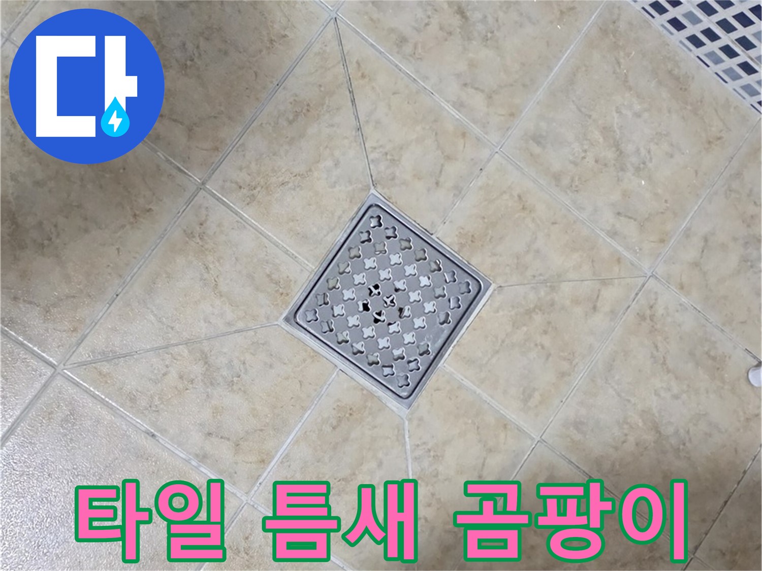 타일 곰팡이 - 실리콘 시공