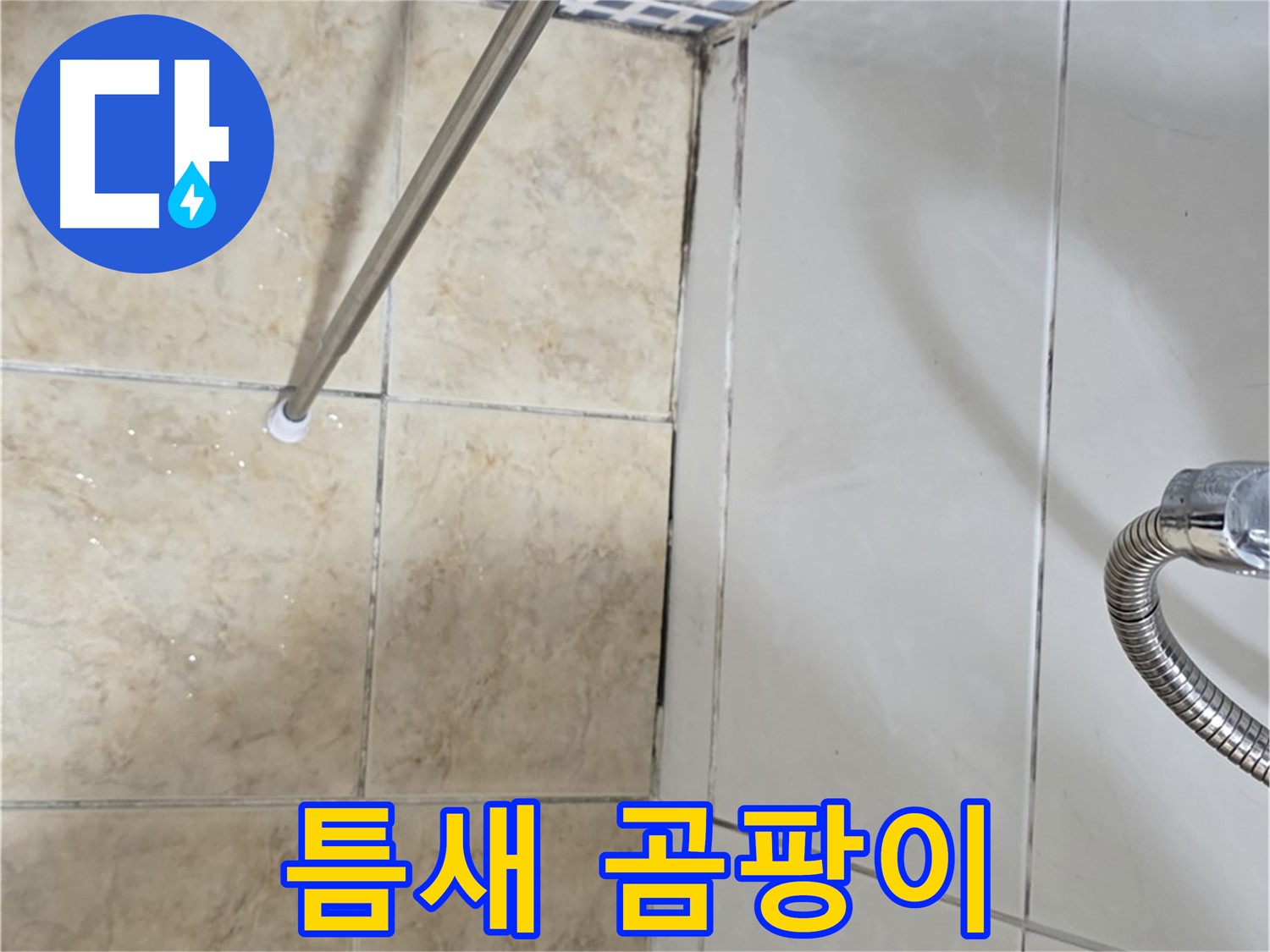 타일 틈새 검은 곰팡이 - 습기 제거 - 누수 해결