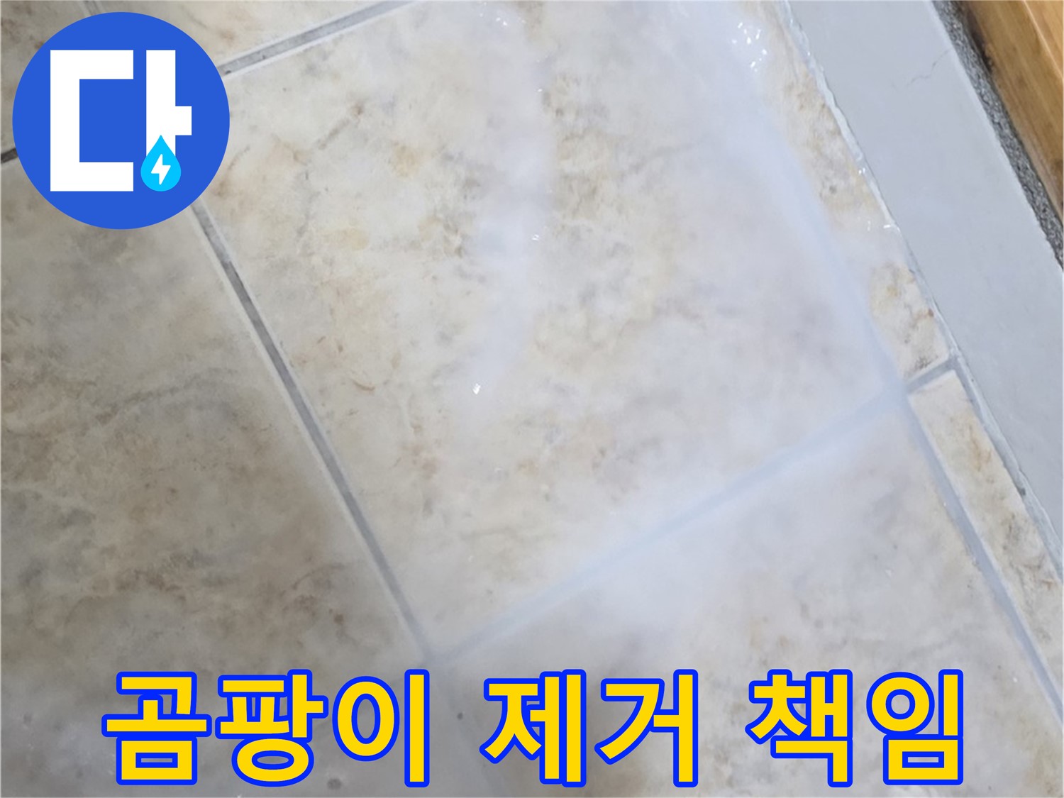타일 틈새 곰팡이 - 제거부터 완벽하게 - 누수까지 책임 시공
