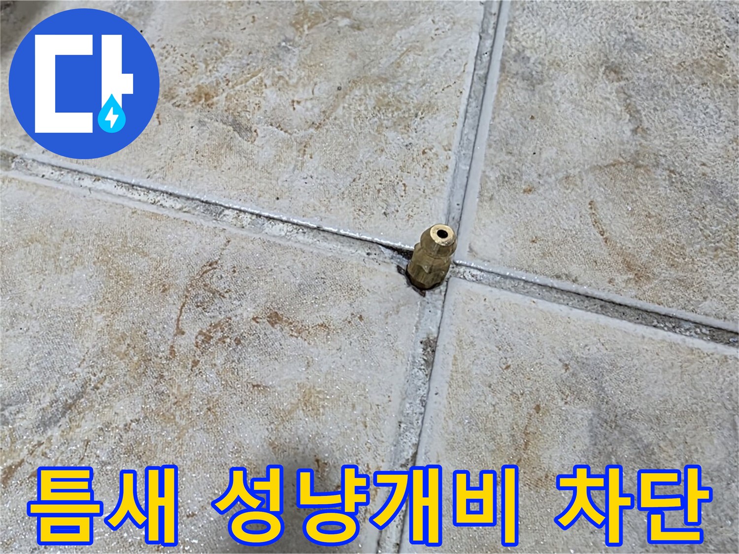 틈새 성냥개비 차단 - 타일 틈새에 꽂힌 성냥개비, 중랑구 누수 완벽 차단 시공으로 해결합니다.