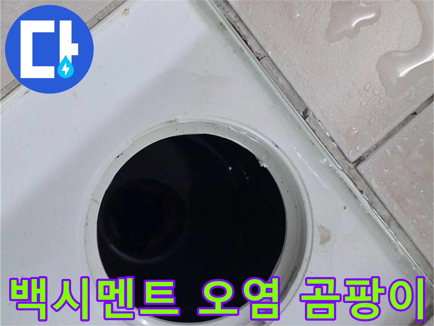 양주 백석 서광아침의빛아파트 욕실 배수구 주변 백시멘트 오염 - 곰팡이 확인