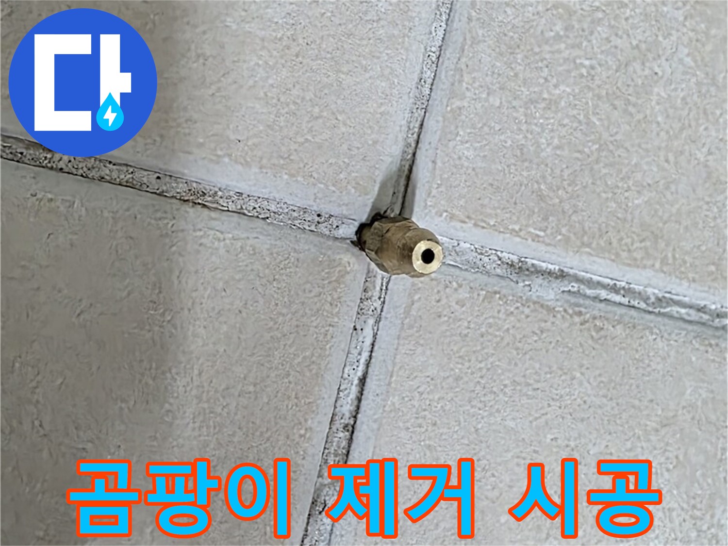 양주 백석 서광아파트 - 곰팡이 제거 시공으로 건강하고 쾌적한 집을 만들어 드립니다.