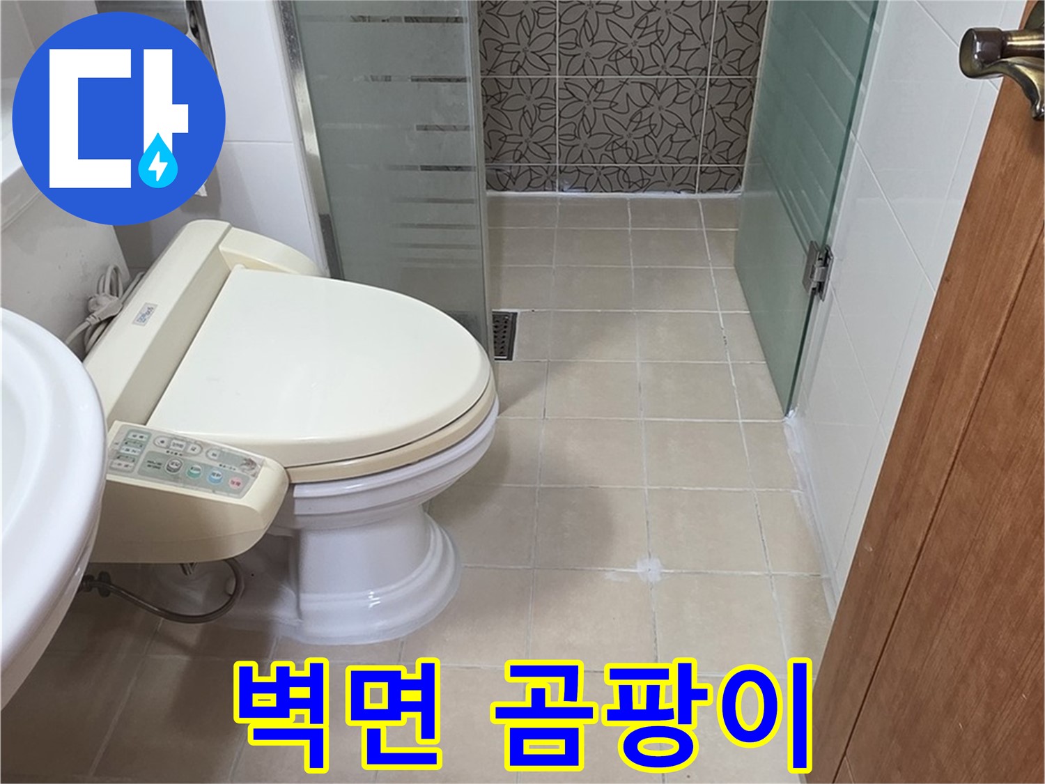 양주 백석 서광아파트 - 변기 뒤 벽면 곰팡이 - 아랫집 누수 의심