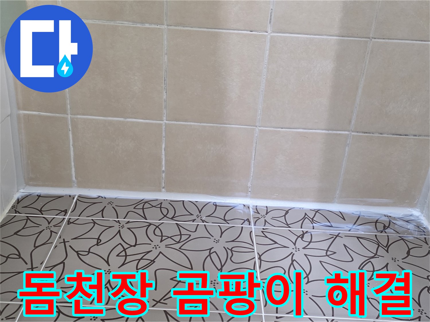 양주 백석 서광아파트 욕실 곰팡이 & 누수 - 돔천장 실리콘 마감으로 한 번에 해결, 쾌적한 욕실 완성