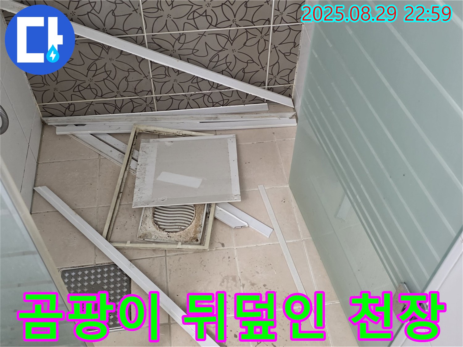양주 백석 서광아파트 욕실 - 습한 환경으로 인해 곰팡이가 심하게 번식한 천장 속 모습입니다.