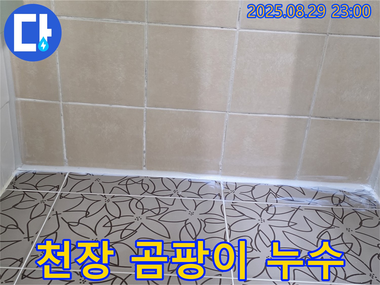 양주 백석 서광아파트 욕실 천장 - 곰팡이가 핀 천장 사진으로 누수 가능성을 보여줍니다.