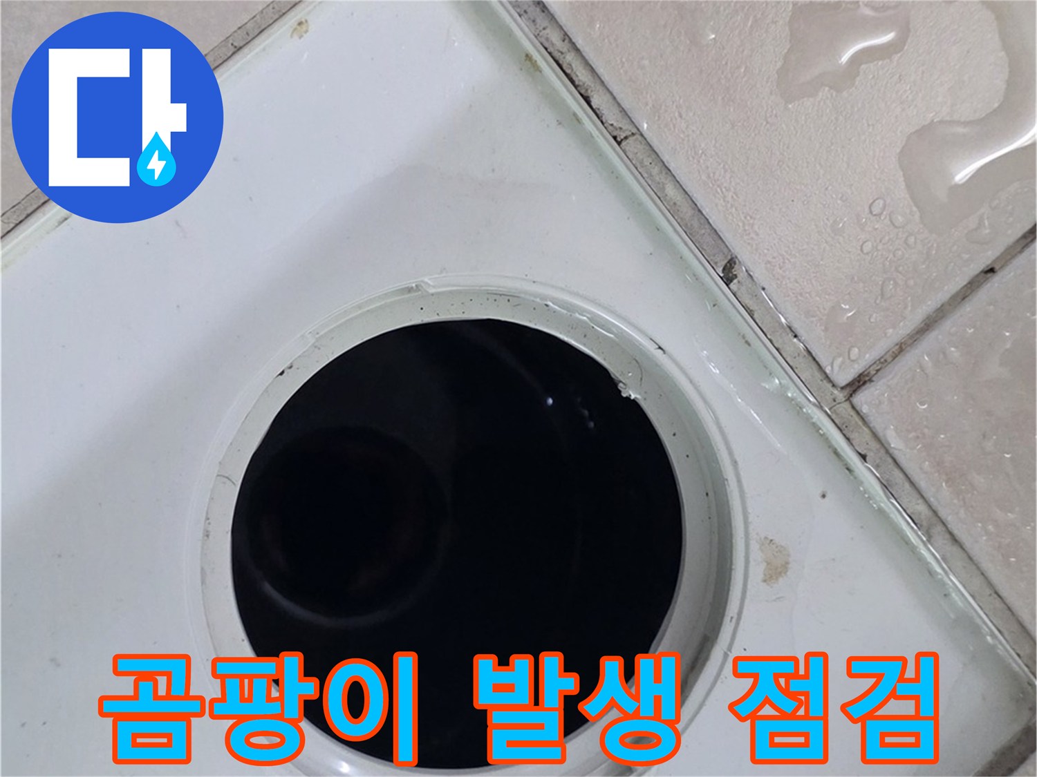 양주 서광아침의빛아파트 누수 - 욕실 배수구 주변 곰팡이 발생 원인을 꼼꼼하게 점검합니다.