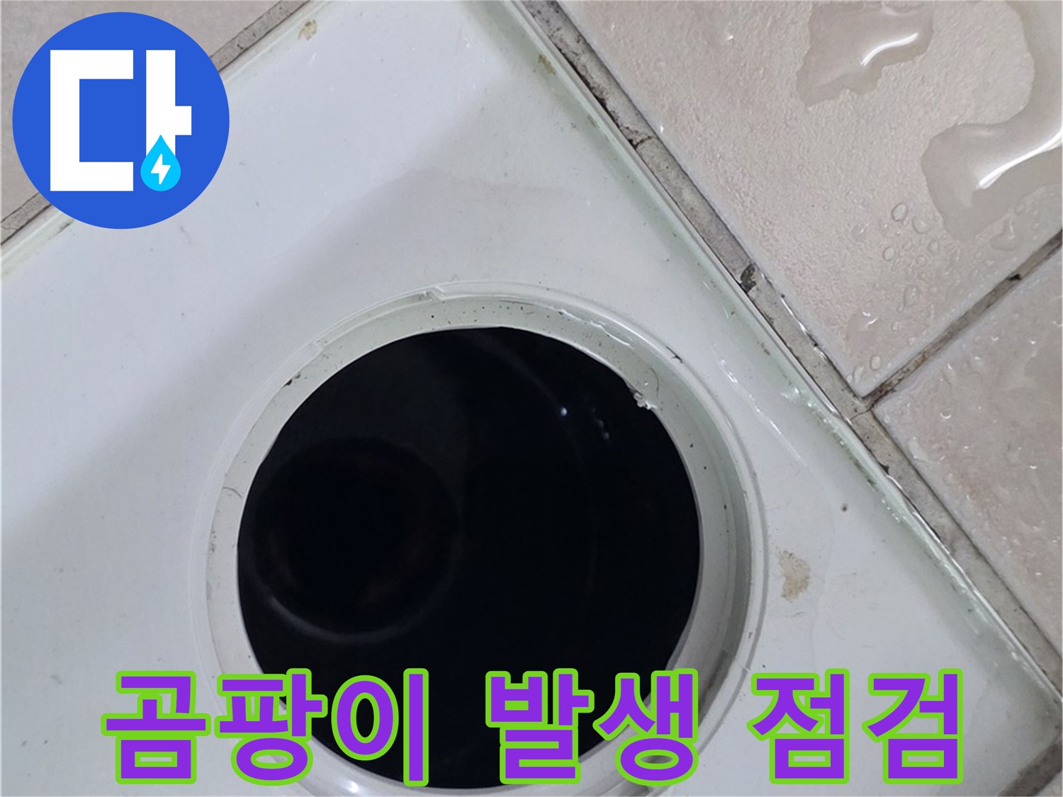 양주 서광아침의빛아파트 누수 - 욕실 배수구 주변 곰팡이 발생 원인을 꼼꼼하게 점검합니다.