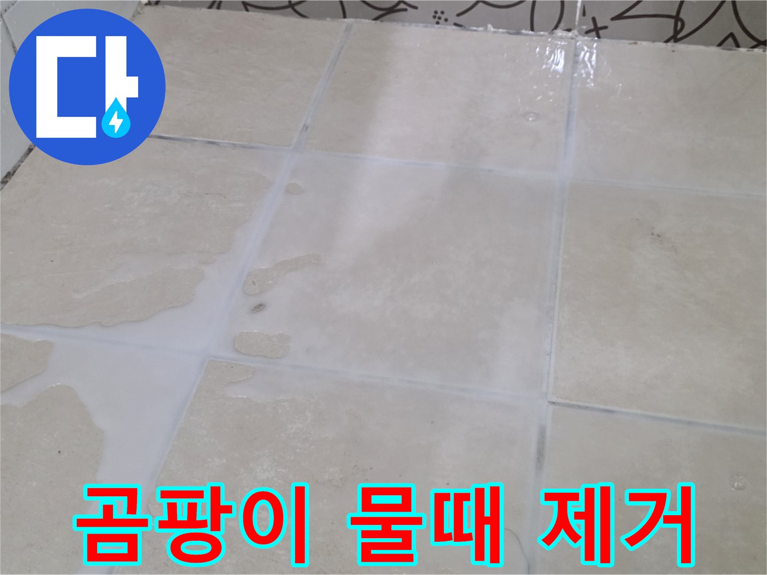 욕실 타일 틈새 곰팡이 물때 오염 제거 - 깨끗하고 쾌적한 욕실 환경 조성