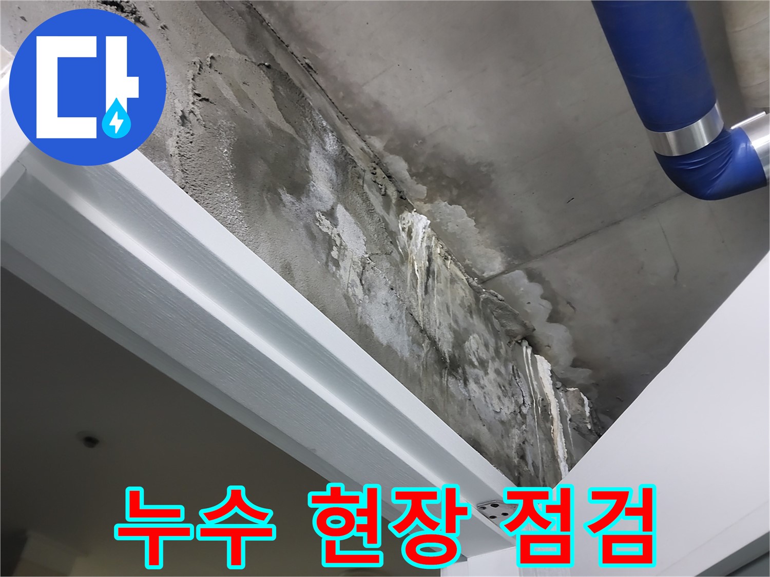 누수 현장 점검 - 천장 누수 현장을 꼼꼼하게 점검하는 모습을 보여주는 사진입니다.