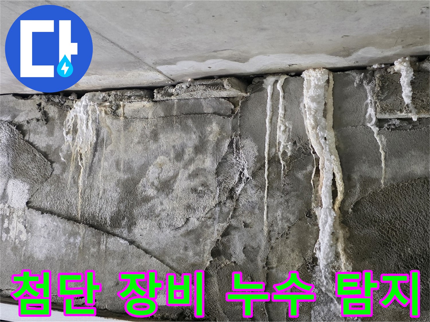 분당 누수 탐지 - 첨단 장비로 숨은 누수 완벽 탐지, 무료 견적