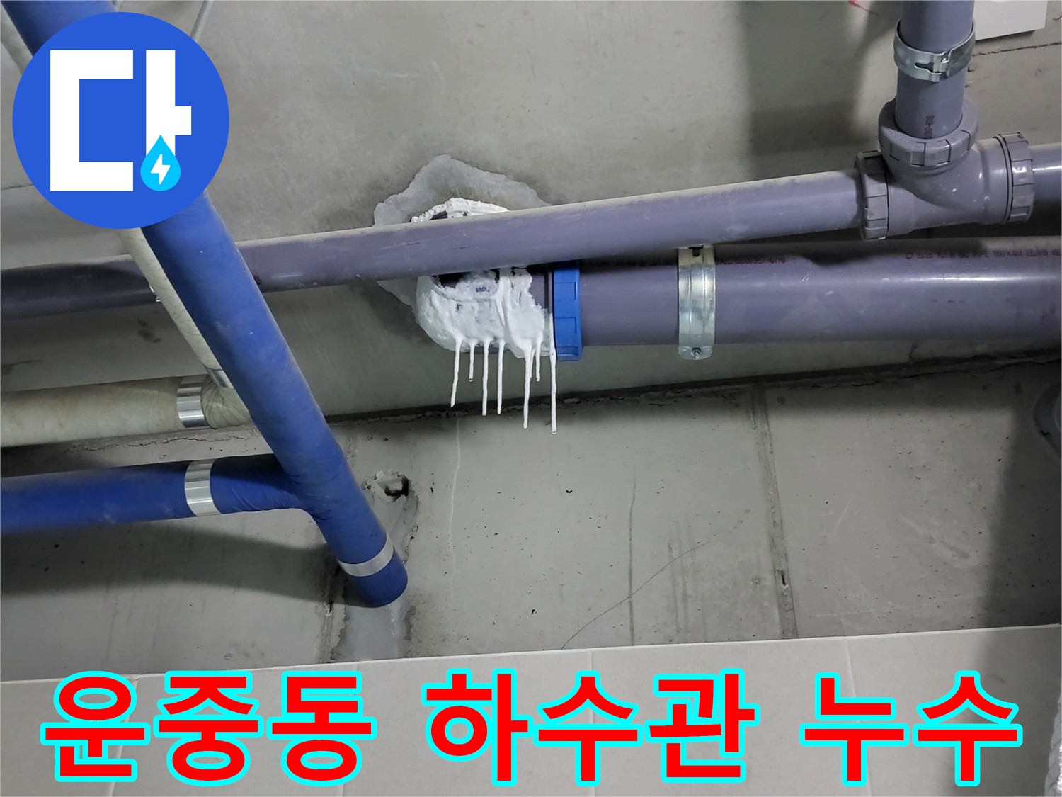 운중동 하수 오수 배관 누수 - 석회 고드름으로 확인된 노후 배관 문제